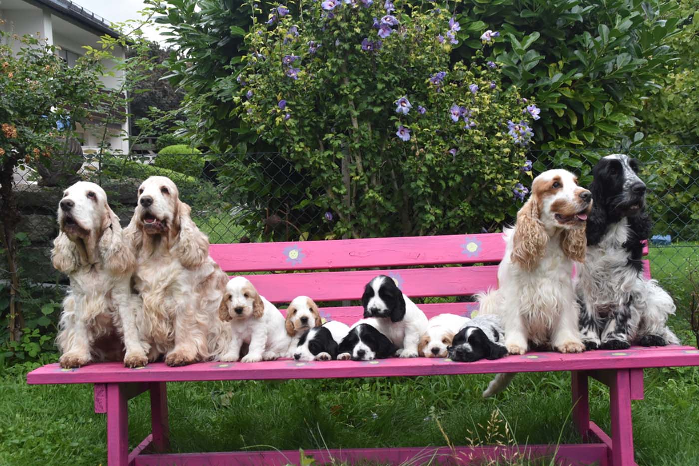 Uroma, Oma, die 7 Zwerge, Mama und Papa